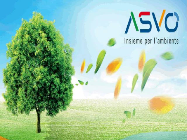 A.S.V.O. -  Chiusura attività lunedì 31 ottobre