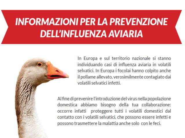 home influenza aviaria