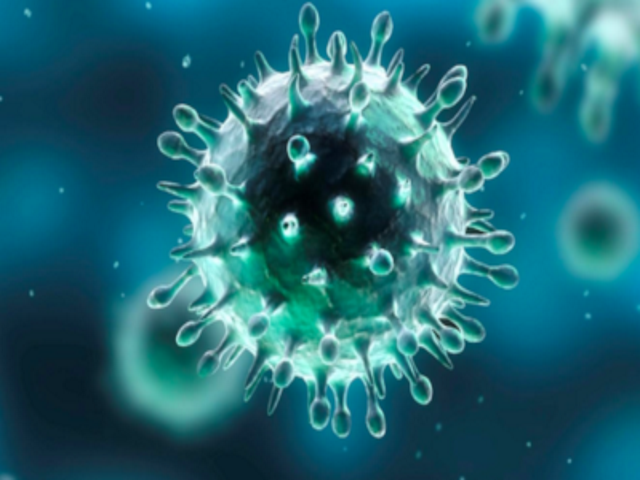 Coronavirus: norme e informazioni utili