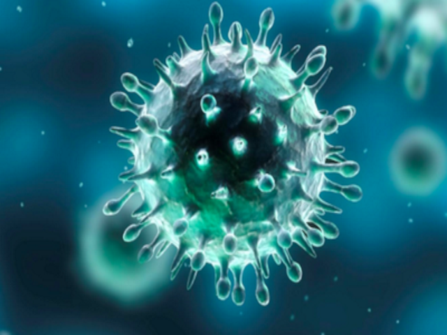 virus2