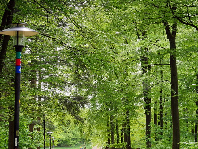 Nuova illuminazione al Parco della Pace